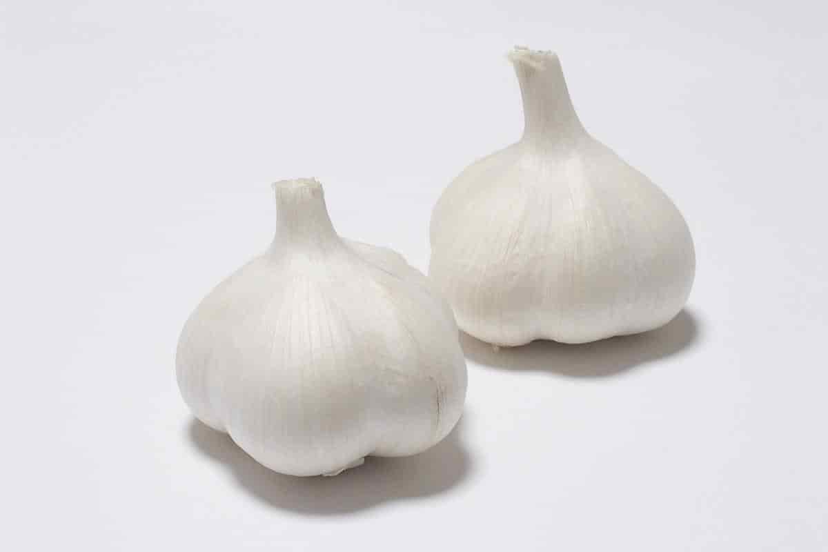 料理にニンニクをプラスすると痩せる?